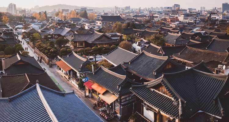 Corée du Sud et Japon : Cityhopping au Mont Fuji - journaway 7