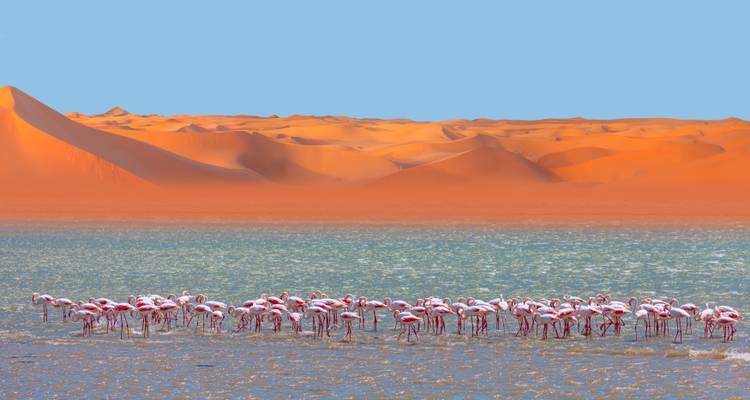 Great African Road Trip: Desert Dreams & Safari Wonders (18 destinations) - journaway 2