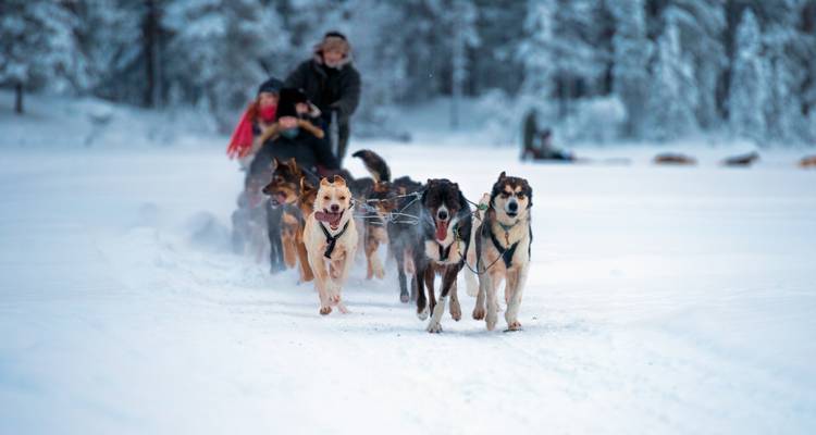 Aventure au Svalbard : Polar Lights & Arctic Nights - journaway DACH 1