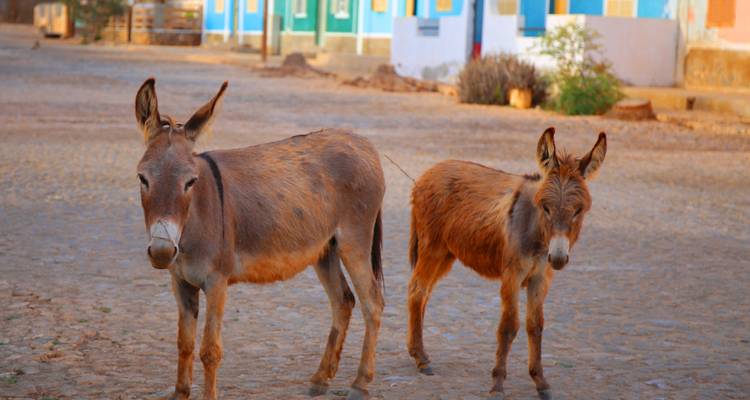 Cape Verde & Lisbon: Colourful City meets Salty Island - journaway 3