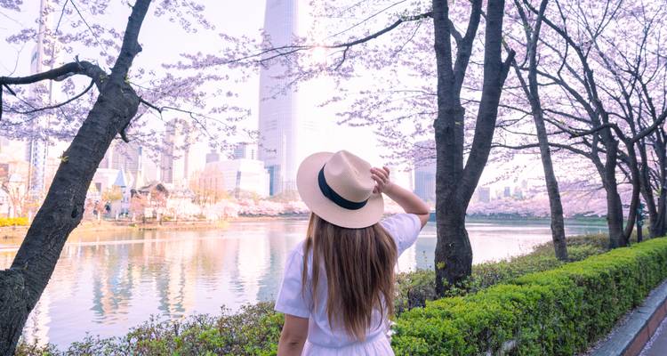La Corée du Sud en train : Meet me in Seoul, Busan & Jeonjus Hanoks - journaway 6
