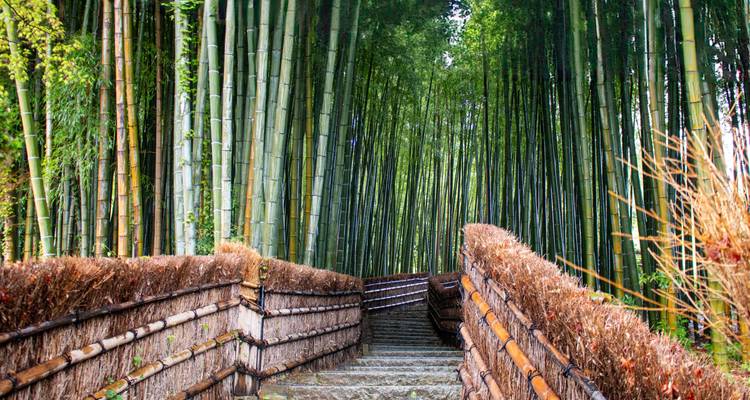 Japan goes Okinawa : Sushi, Shinto & Sunshine Vibes (6 destinations) - journaway 5
