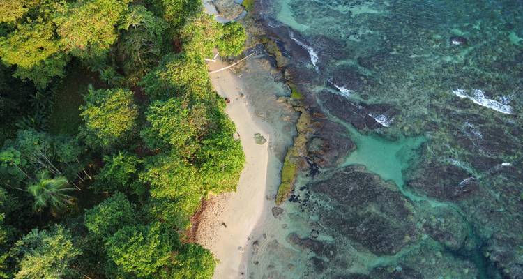 Nueva York y Costa Rica: ¡De la jungla de cemento al bosque nuboso! (from Nueva York to Puerto Viejo) - journaway DACH 4