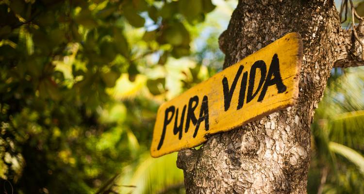 Nueva York y Costa Rica: ¡De la jungla de cemento al bosque nuboso! (from Nueva York to Puerto Viejo) - journaway DACH 7