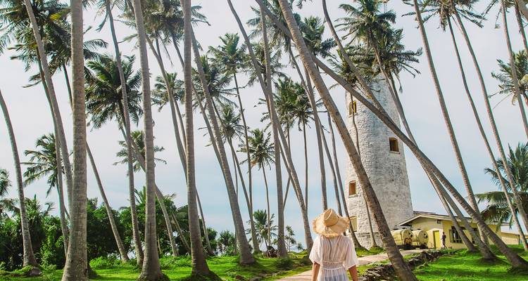 Sri Lanka Indomable: Safari, Cumbres y Horizontes Dorados (16 destinations) - journaway DACH 4