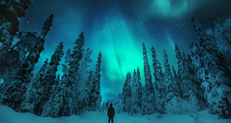 Roadtrip en Laponie : Snowy Lights & Polar Nights - journaway DACH 5