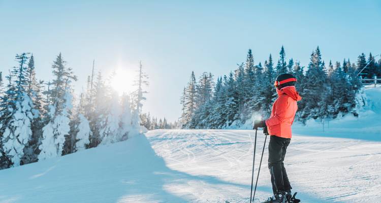 Roadtrip en Laponie : Snowy Lights & Polar Nights - journaway DACH 6