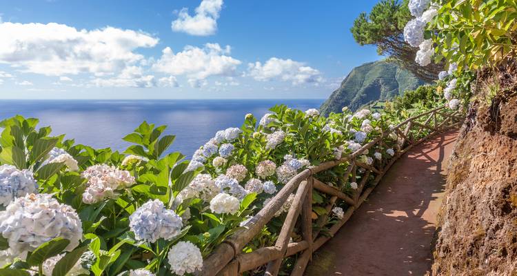 Açores Calling : Whale, This Will Be Epic ! (15 destinations) - journaway 5
