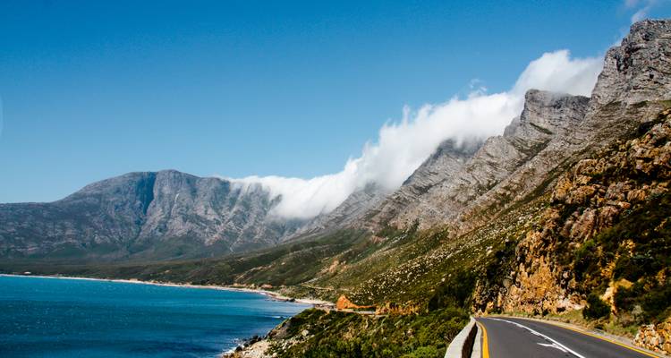 Afrique du Sud Garden Route : la vie sauvage, les vagues et les vibrations du road trip - journaway 2