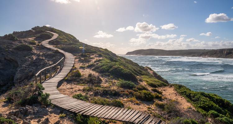 Afrique du Sud Garden Route : la vie sauvage, les vagues et les vibrations du road trip - journaway 4