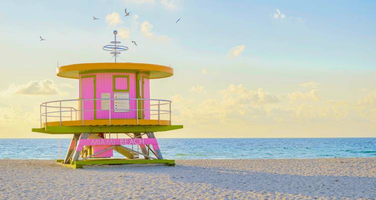 USA Cityhopping : Big Apple, Bright Lights & Beach Nights - journaway 1