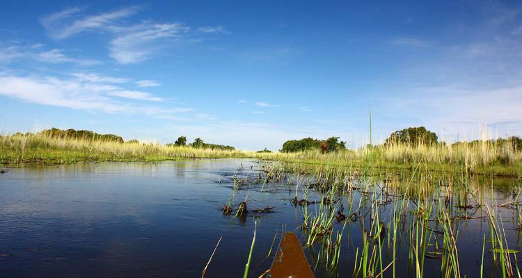 1 Día - Safari de un día por el Parque Nacional de Chobe Aventura de caza mayor - Knap Tours Limited 4