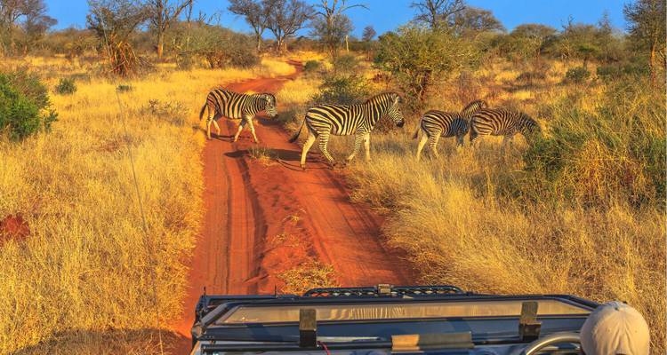 1 Día - Safari de un día por el Parque Nacional de Chobe Aventura de caza mayor - Knap Tours Limited 5
