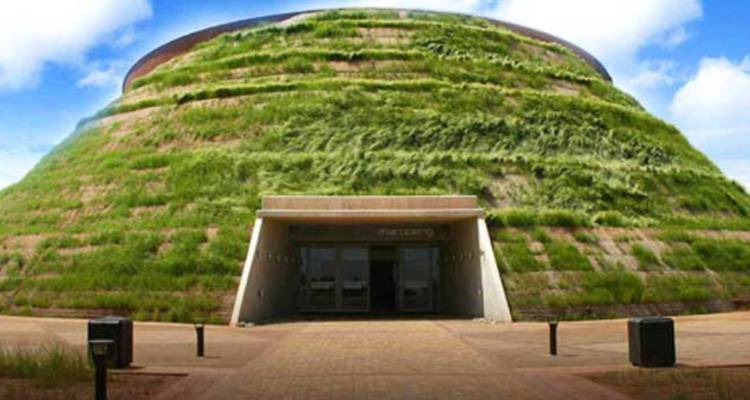1 Day - Cradle of Humankind & Lion Safari Park Adventure - Knap Tours Limited 3