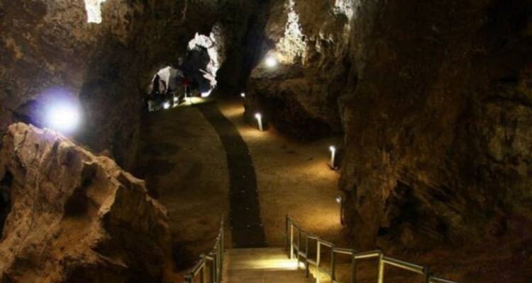 1 Day - Cradle of Humankind & Lion Safari Park Adventure - Knap Tours Limited 6