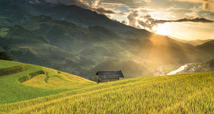 Explorador de Vietnam de 11 días: Historia, senderismo y joyas ocultas - Up Travel Vietnam 2