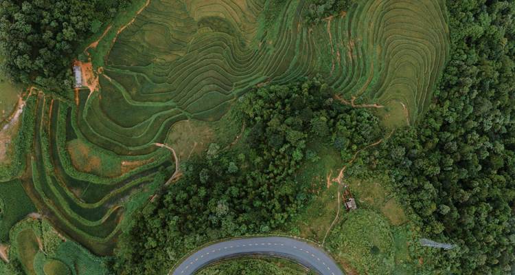 Explorador de Vietnam de 11 días: Historia, senderismo y joyas ocultas - Up Travel Vietnam 5