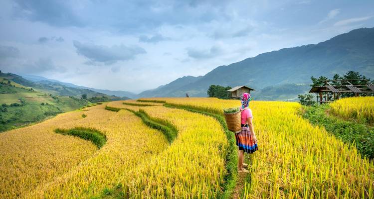 Explorador de Vietnam de 11 días: Historia, senderismo y joyas ocultas - Up Travel Vietnam 7
