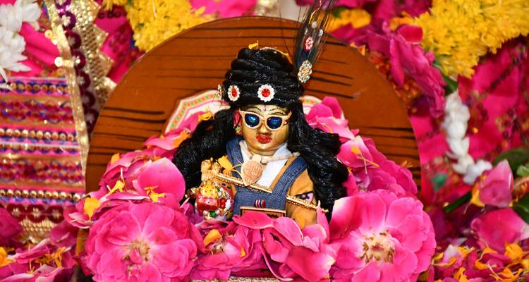 Recorrido por los templos de la India - Recorrido de 9 días por templos espirituales" - Vijay India Tours 7