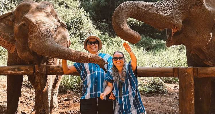 5-Day Cultural & Nature Tour in Chiang Mai: Temples, Elephants & Hill Tribe Village - Open Asia Travel  1