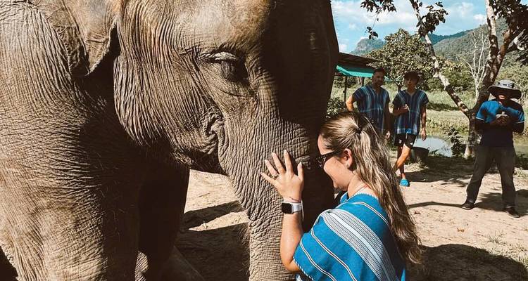 5-Day Cultural & Nature Tour in Chiang Mai: Temples, Elephants & Hill Tribe Village - Open Asia Travel  7