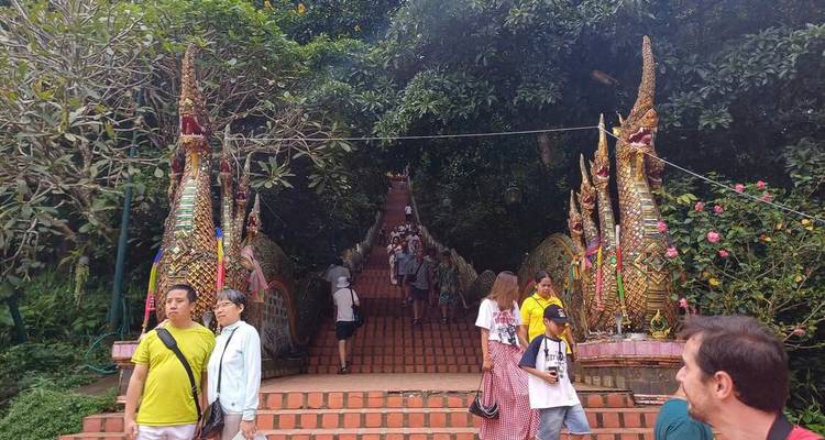 5-Day Cultural & Nature Tour in Chiang Mai: Temples, Elephants & Hill Tribe Village - Open Asia Travel  9