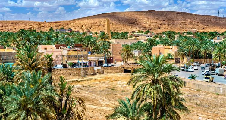 Oasis luxuriante de palmiers avec des bâtiments traditionnels en arrière-plan.