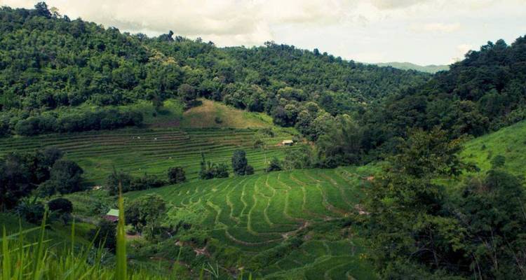 Chiang Mai & Lahu village trekking 3 days/ 2 nights - Open Asia Travel  10
