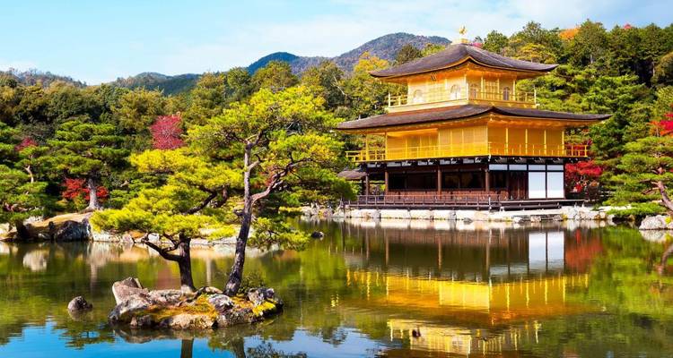 Japan Golden Route with Hiroshima 2026 - Tomato Travel 4