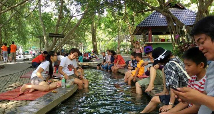 Chiang Mai et village de Mae Kampong 2 jours/1 nuit - Open Asia Travel  4