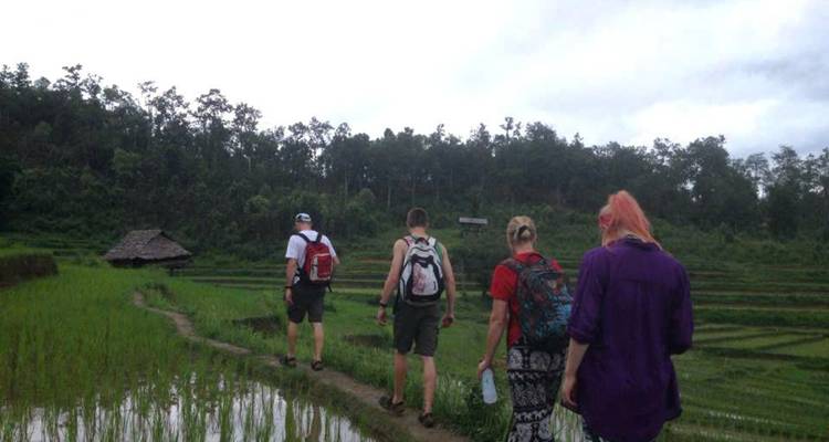 Trekking à Chiang Rai 2 jours/1 nuit - Open Asia Travel  9