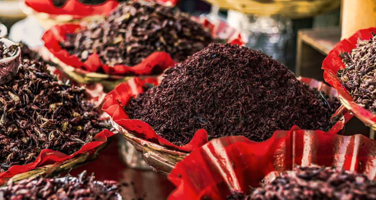 Escapada a Ciudad de México: Tacos, Teotihuacán y Frida Kahlo - Go For A Journey 4