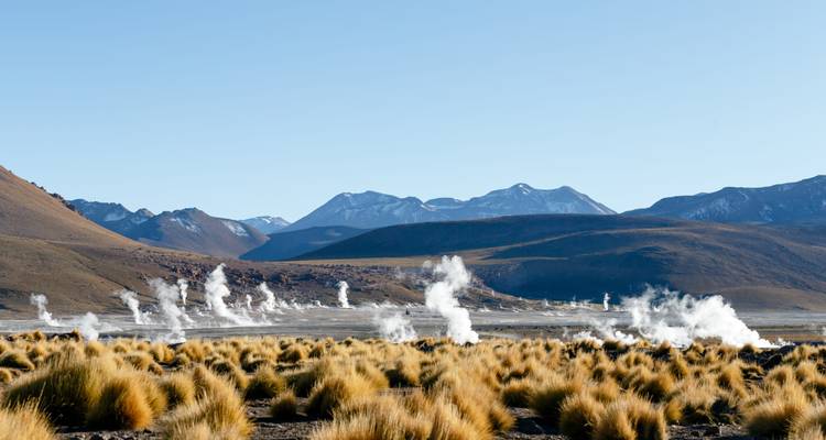 Natürliche Geysire mit aufsteigendem Dampf in einer bergigen Wüstenlandschaft.