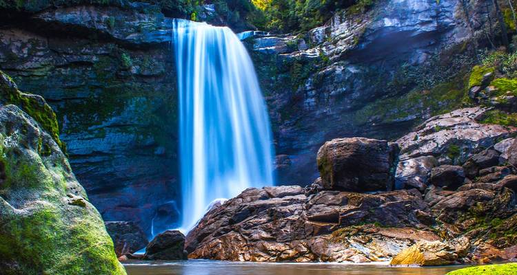 Aventura en la costa oeste de Nueva Zelanda (26 destinations) - Intrepid Travel 7