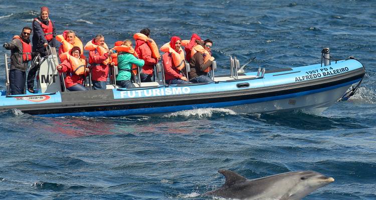 Les géants des bleus à Pico Island - Futurismo Azores Adventures 4