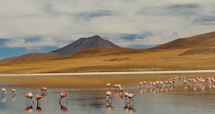 Esencial Colombia a Chile - 21 días - On The Go Tours 6