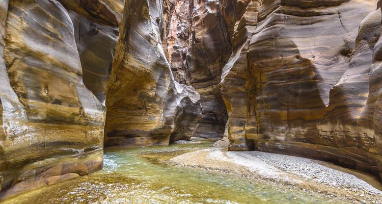 Smalle zandsteencanyon met ondiep stromend water en gepolijste, gegroefd muren in Wadi Mujib.