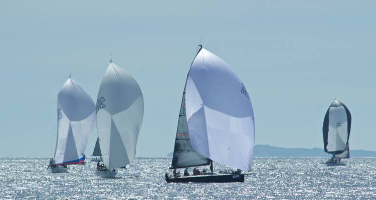 Des voiliers aux spinnakers blancs gonflés glissent sur une mer scintillante par une journée lumineuse.