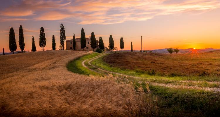 Les hauts lieux de la Toscane et le vin - 3 jours - On The Go Tours 10