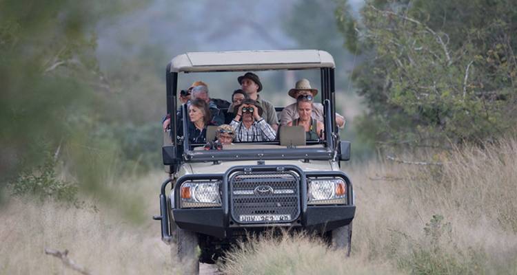 1 Día - Excursión panorámica por Kruger y el Cañón del río Blyde - Knap Tours Limited 1