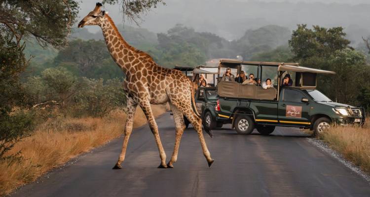 1 Día - Excursión panorámica por Kruger y el Cañón del río Blyde - Knap Tours Limited 2