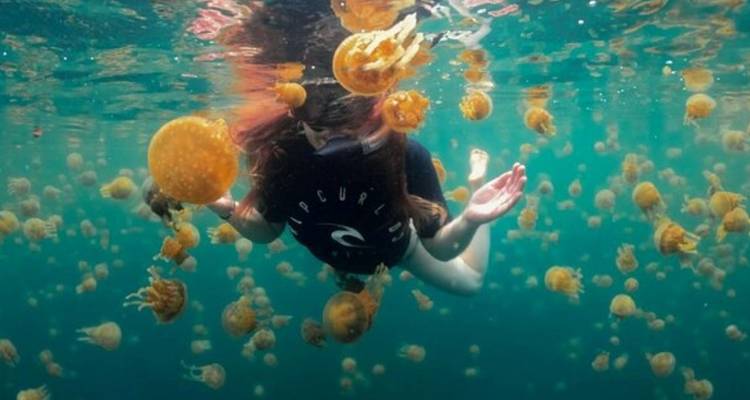 13 jours de surf et de visites d'îles merveilleuses (guide et chauffeur privés）) - UME Travel Co. Ltd 9