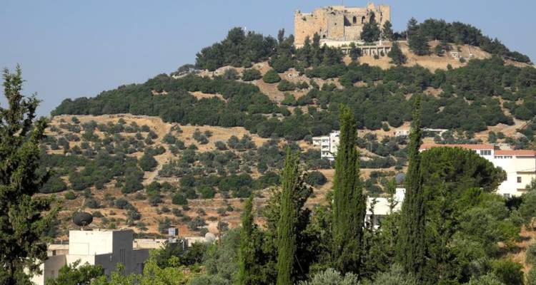 Vue du château d'Ajloun sur une colline entourée d'arbres et d'arbustes.