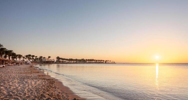 Arenas doradas del Mar Rojo de Hurghada - Vacaciones de buceo y playa | Complejo turístico de 5 estrellas - TourShare 3