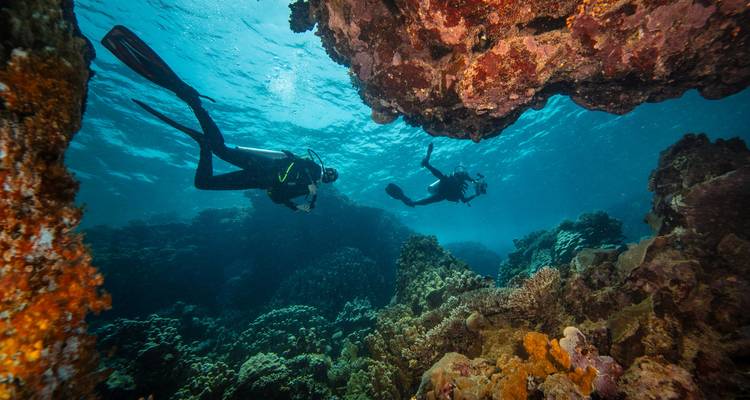 Arenas doradas del Mar Rojo de Hurghada - Vacaciones de buceo y playa | Complejo turístico de 5 estrellas - TourShare 4