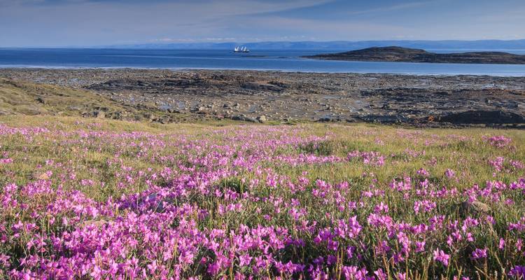 Kleurrijk Europees stadslandschap langs een rivier met historische gebouwen.