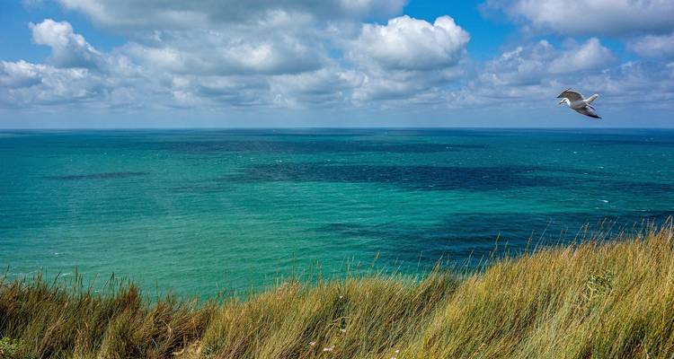 Les points forts de la Normandie et de la Seine 2026 - Scenic Luxury Cruises & Tours 3
