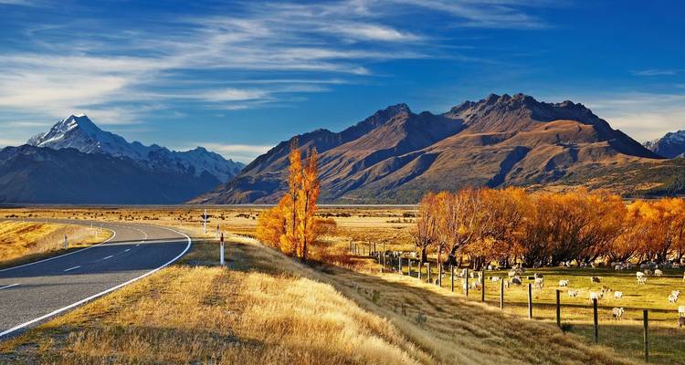 Christchurch et Mt Cook avec la mer de Ross en Antarctique : Glace et faune majestueuses - Scenic Luxury Cruises & Tours 3