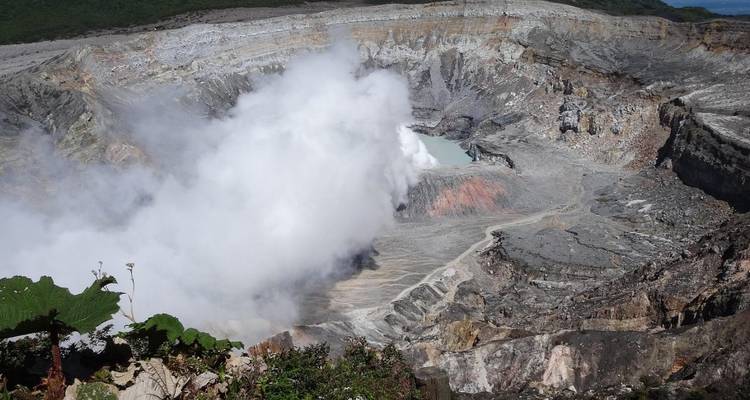 9-Day Costa Rica Wildlife Adventure: Volcanoes, Cloud Forests, and Pacific Coast - Across Caribbean Excursions  8