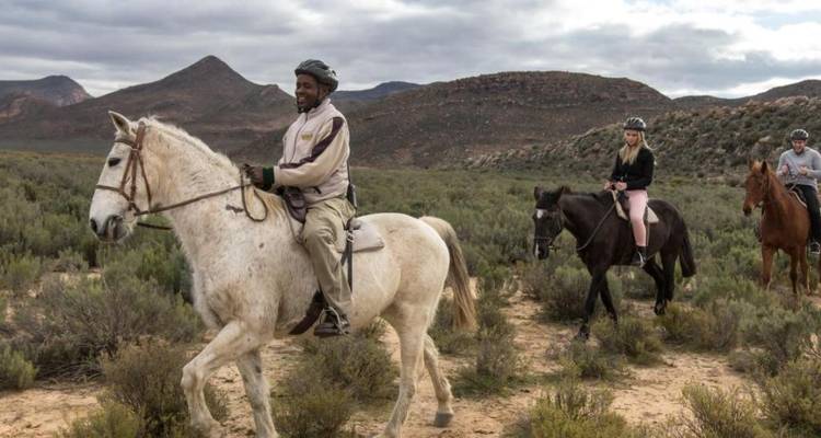 1 Día - Safari Aquila en Cuatrimoto con los Cinco Grandes cerca de Ciudad del Cabo - Knap Tours Limited 6